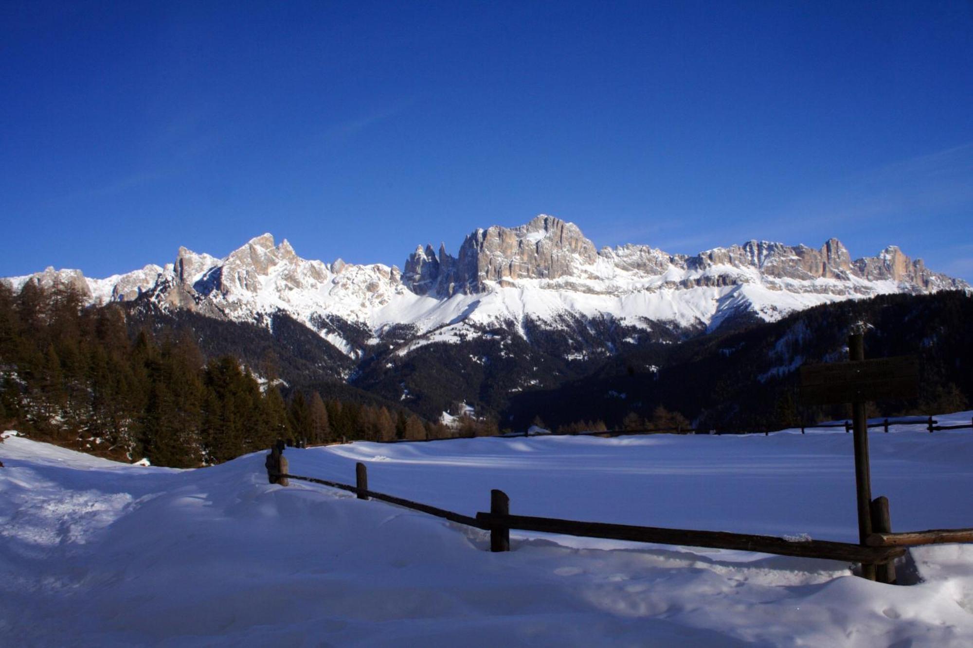 Gasthof Edelweiss ティーレス エクステリア 写真