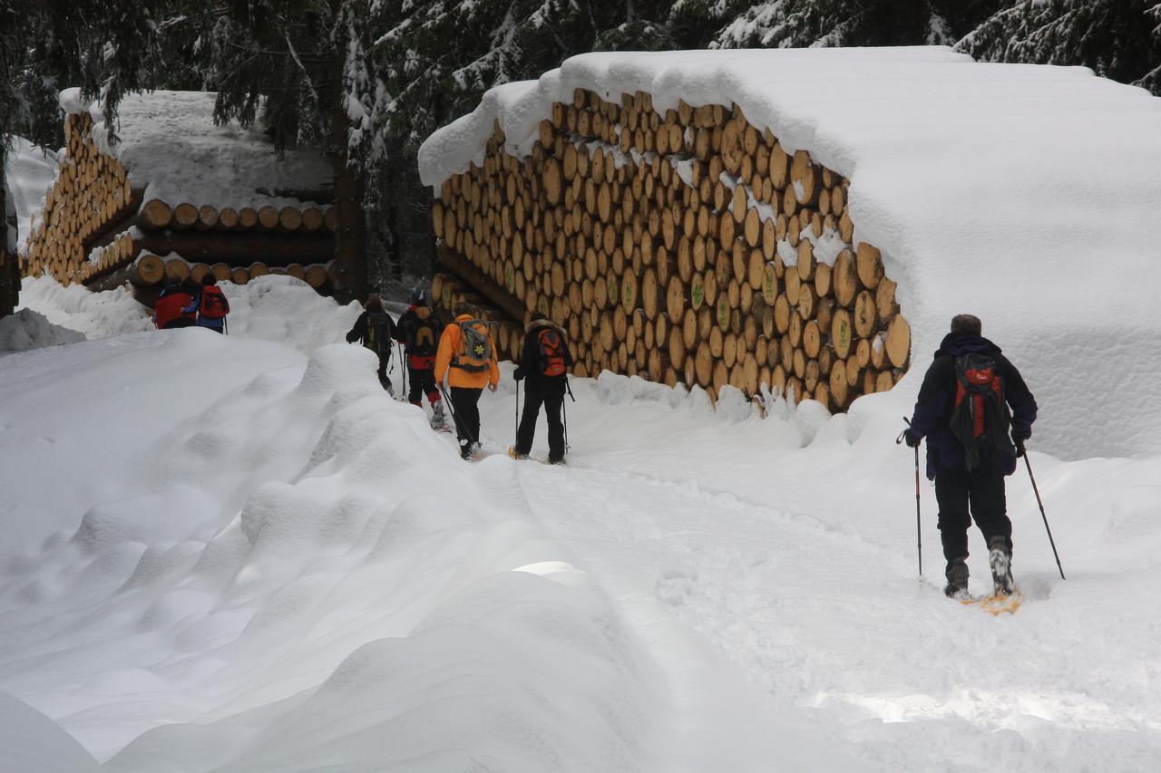 Gasthof Edelweiss ティーレス エクステリア 写真